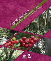 <p>Agroforestería y sistemas agroforestales con café</p>