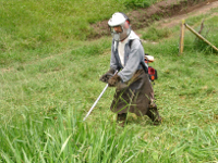 <p>Preparar terreno</p> <p>Preparar terreno</p>