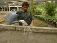 <p>Aplicación de fungicida</p> <p>Aplicación de fungicida</p>