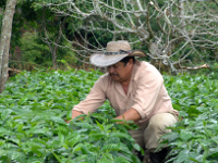 <p>Preparar terreno.</p> <p>Preparar terreno.</p>
