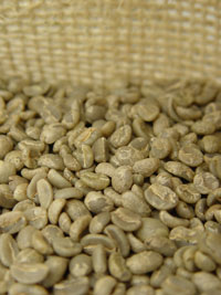 <p>Café Verde</p> <p>Café Verde</p>