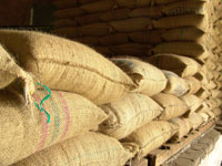 <p>comercialización</p> <p>comercialización</p>