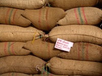 <p>comercialización</p> <p>comercialización</p>