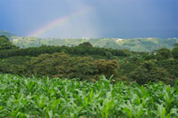 <p>Arco Iris</p> <p>Arco Iris</p>