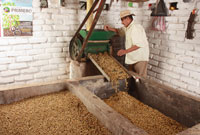 <p>Despulpado sin Agua</p> <p>Despulpado sin Agua</p>