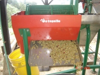 <p>Despulpadora con zaranda</p> <p>Despulpadora con zaranda</p>