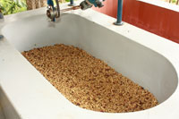 <p>Fermentacion en Tanque</p> <p>Fermentacion en Tanque</p>