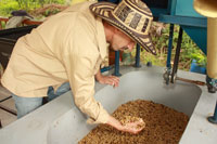 <p>Fermentacion en Tanque</p> <p>Fermentacion en Tanque</p>