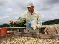 <p>Germinador</p> <p>Germinador</p>