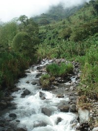 <p>Protección de fuentes hídricas</p> <p>Protección de fuentes hídricas</p>