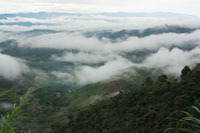 <p>clima</p> <p>clima</p>